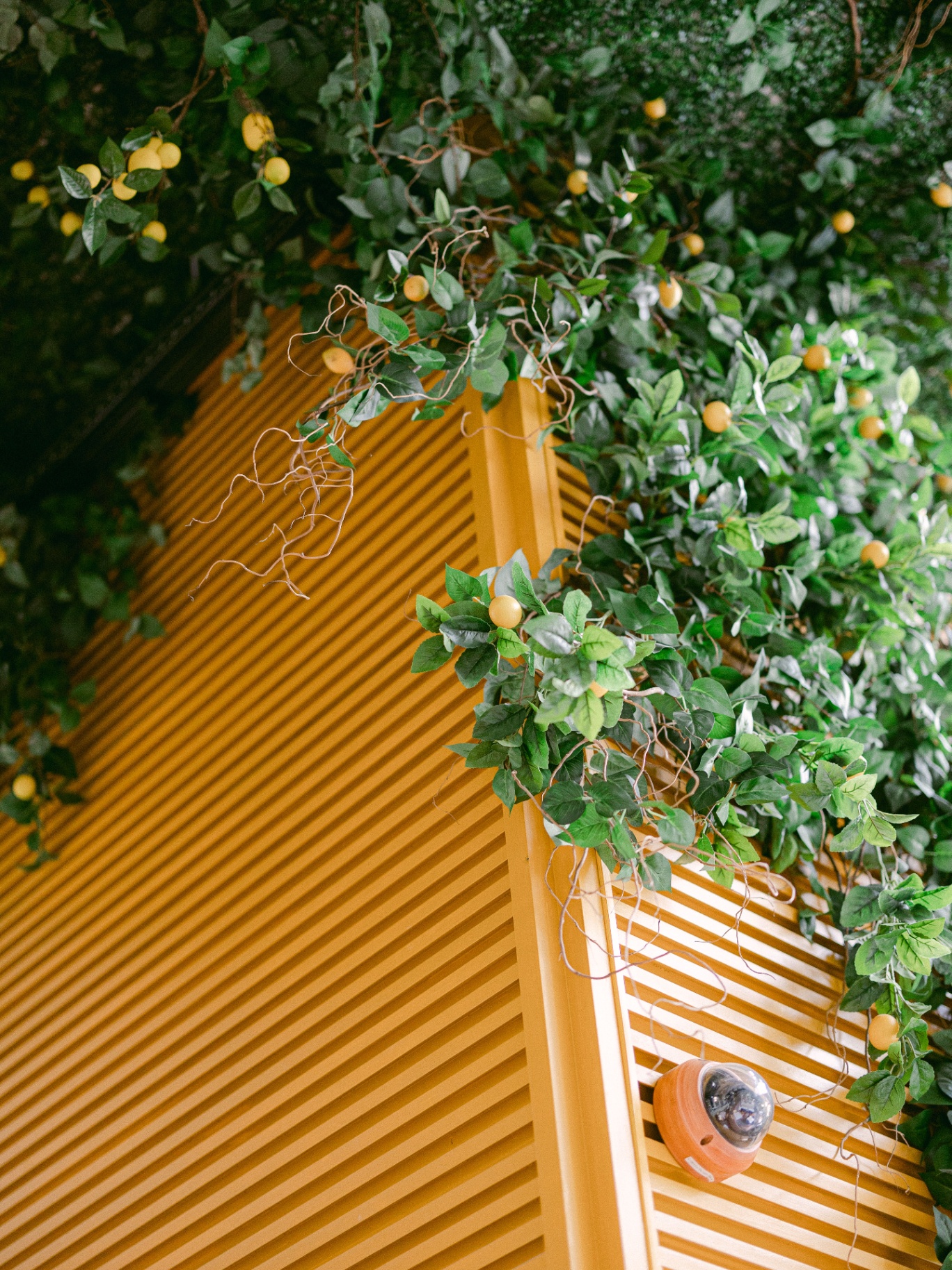 Lucia, un jardin né du vide — 2