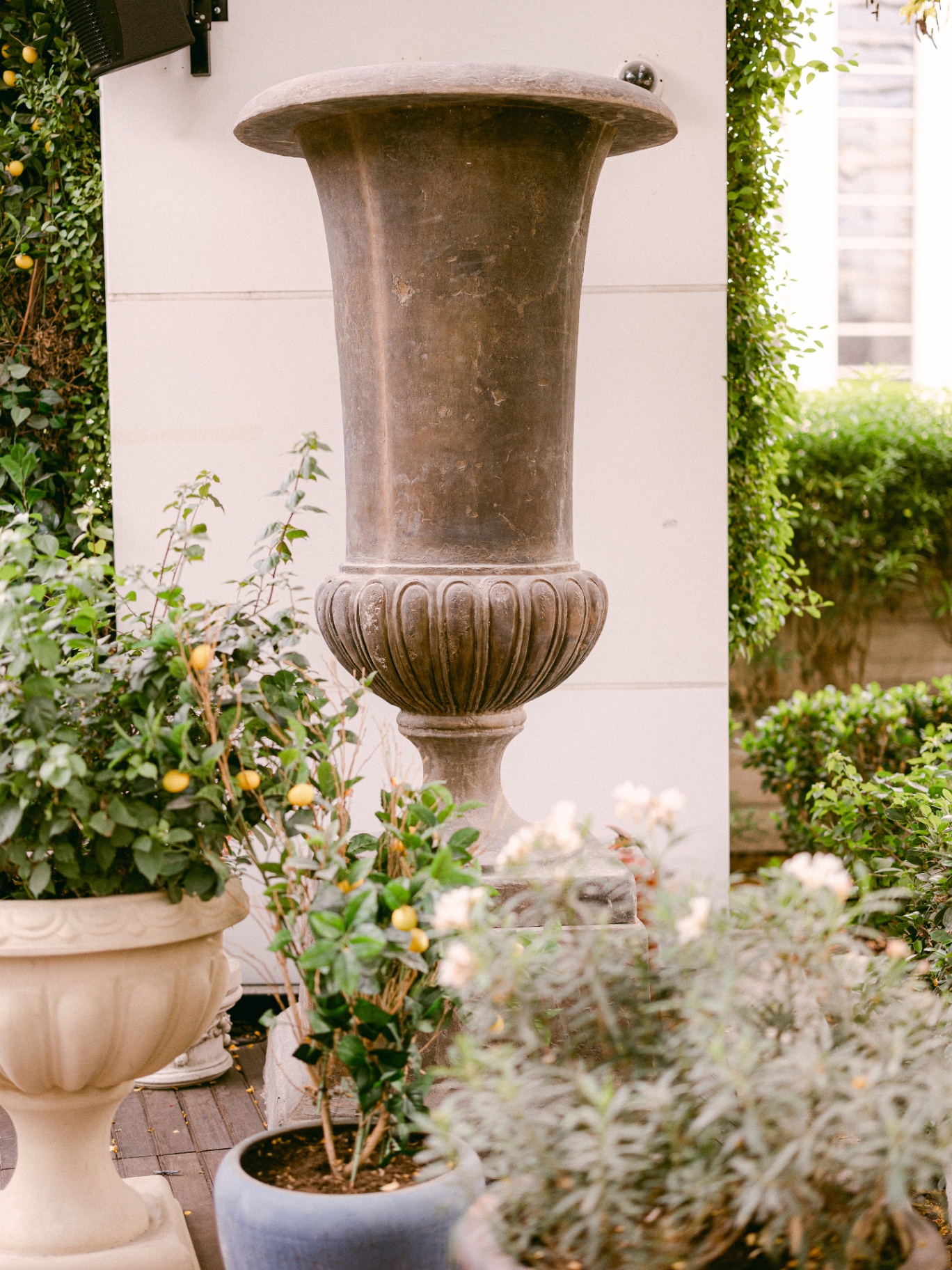 Lucia, un jardin né du vide — 9