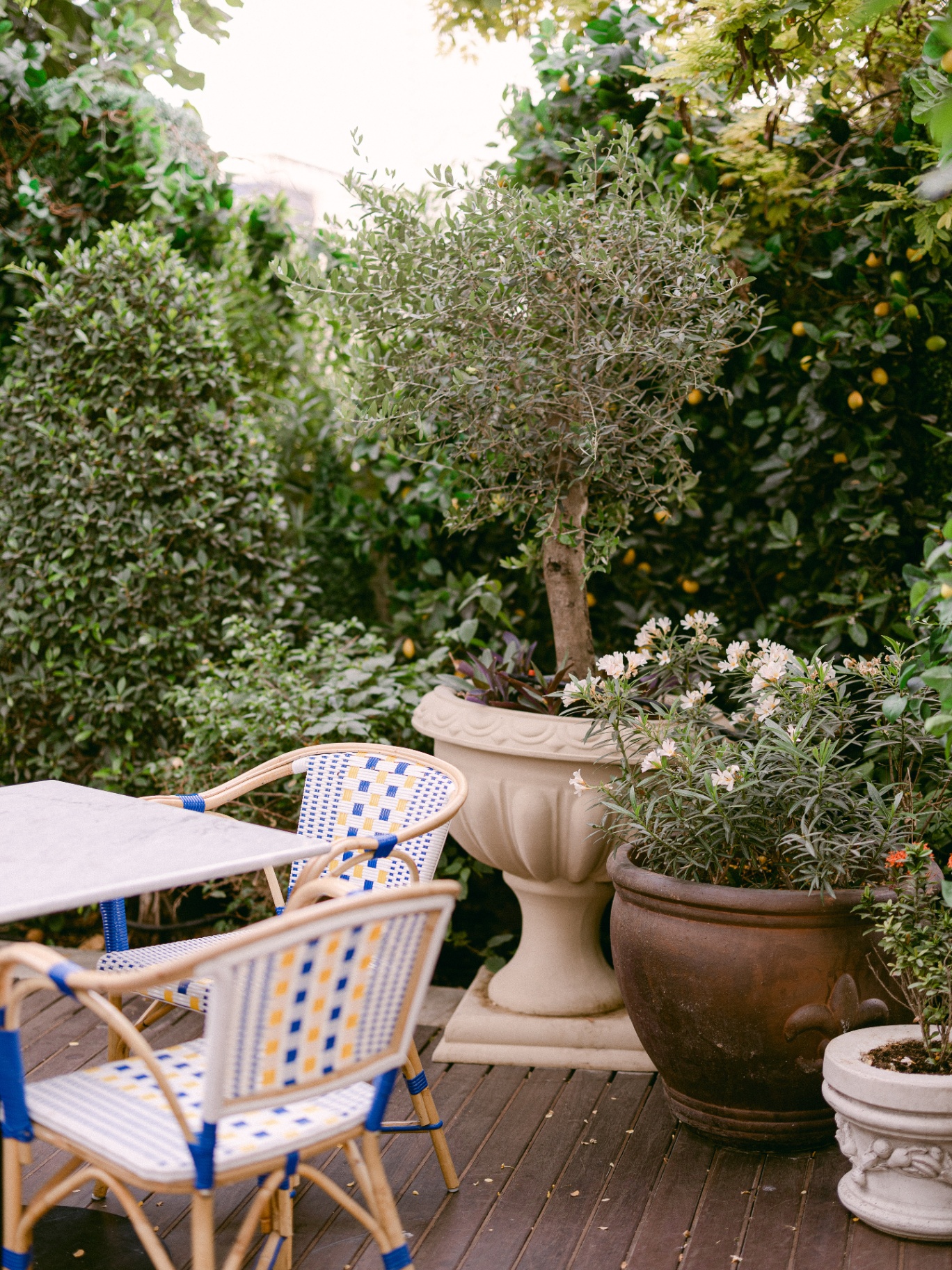 Lucia, un jardin né du vide — 8