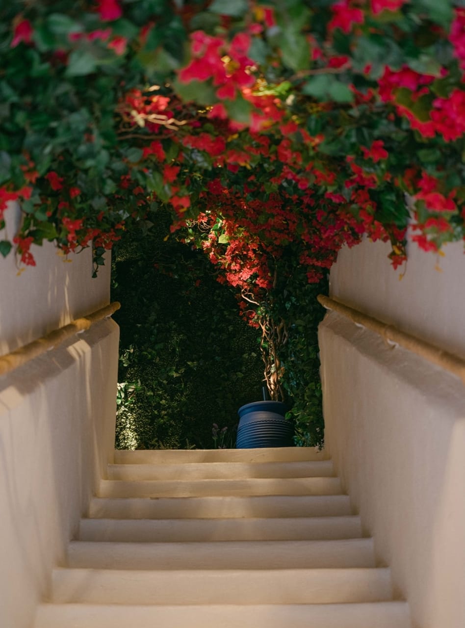 OPA Saint-Tropez, une scène au Sommet — vertical 2