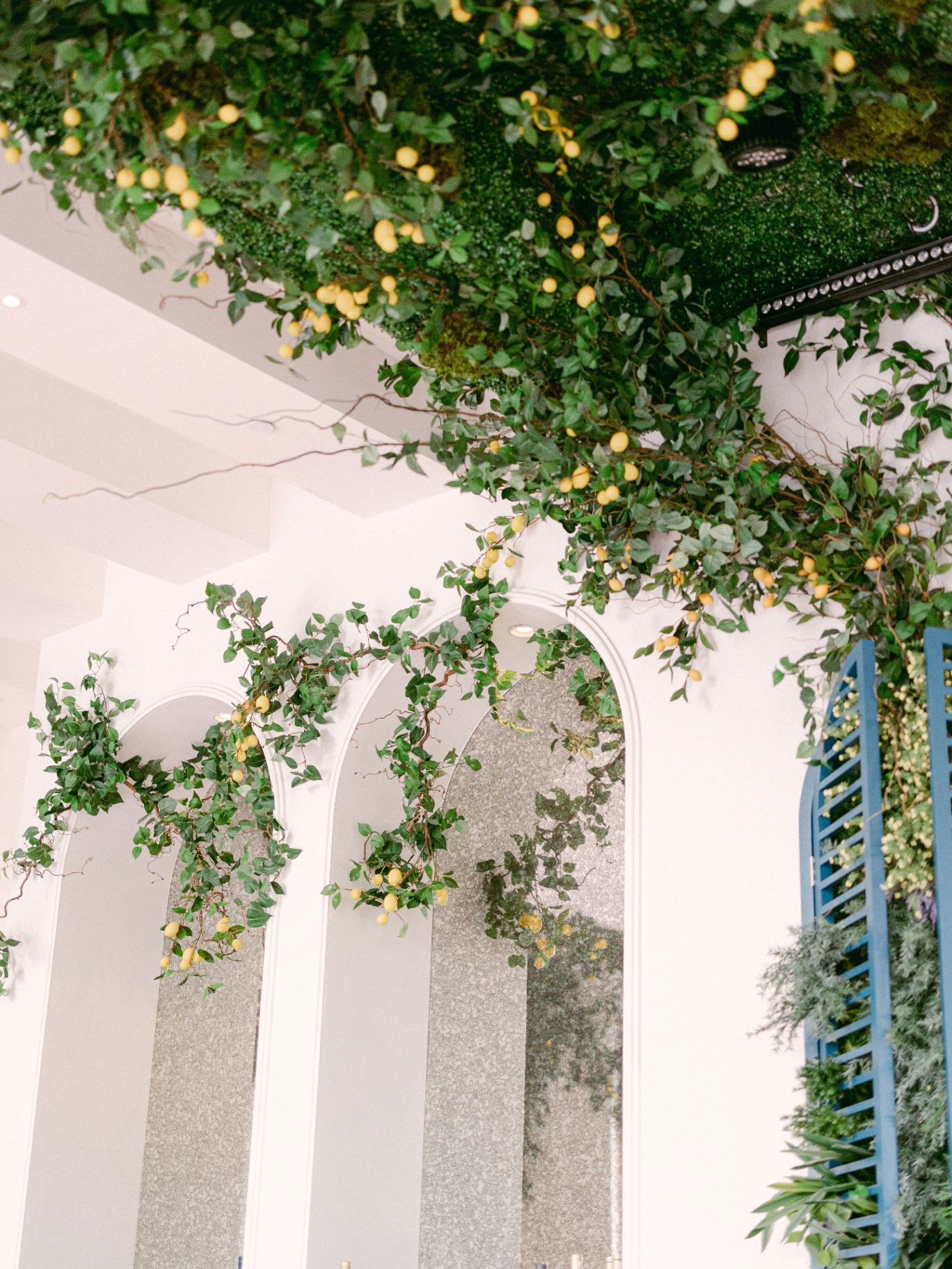 Lucia, un jardin né du vide — 7